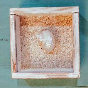 Homemade beach themed shadow box